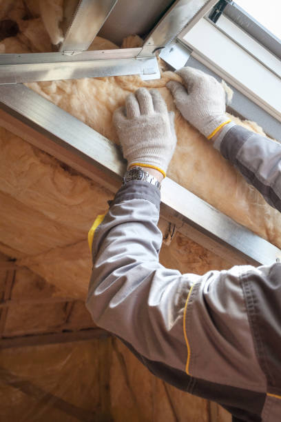Best Commercial Insulation in Dellwood, MO