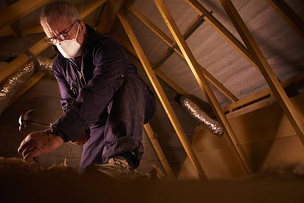 Best Commercial Insulation in Dellwood, MO